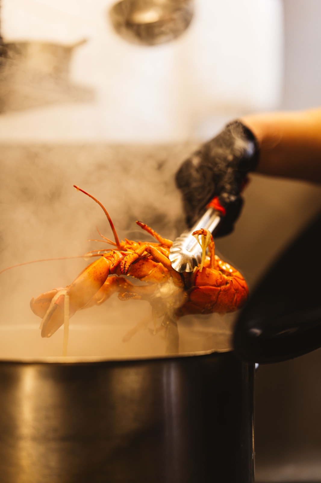 Homard au feu, gros plan